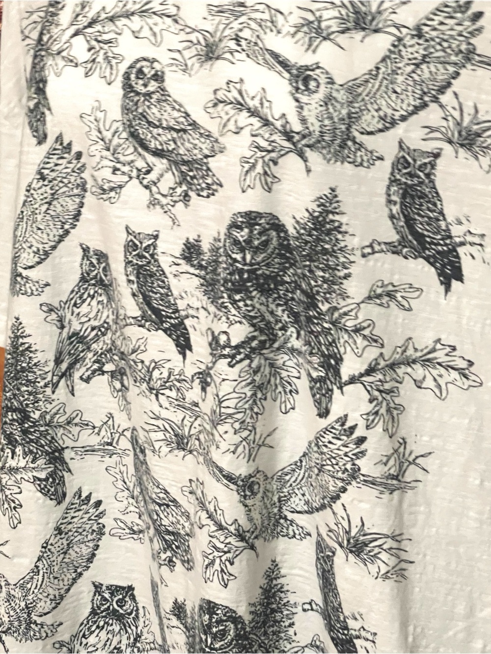 April Cornell Owl in the Woods Graphic Scoop Neck Tee Cream Cottagecore XL/XXL - Picture 3 of 12